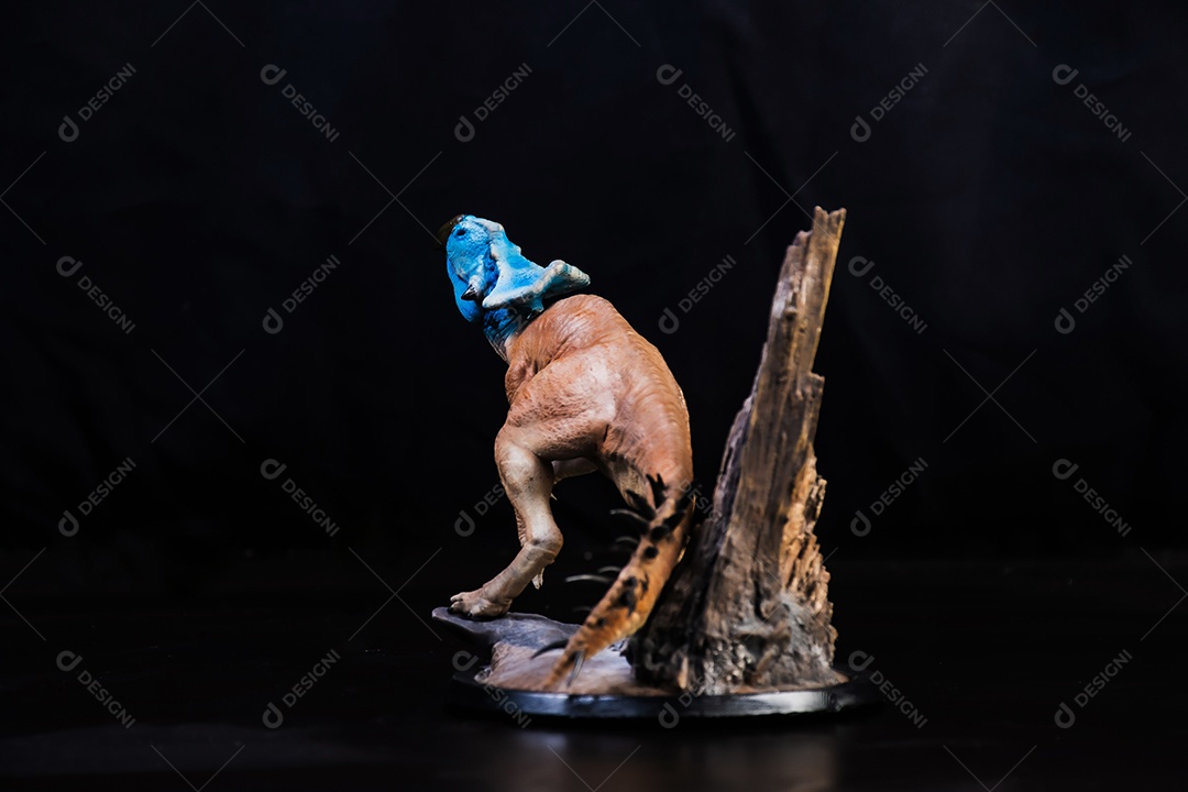 Protoceratops, dinossauro no fundo isolado