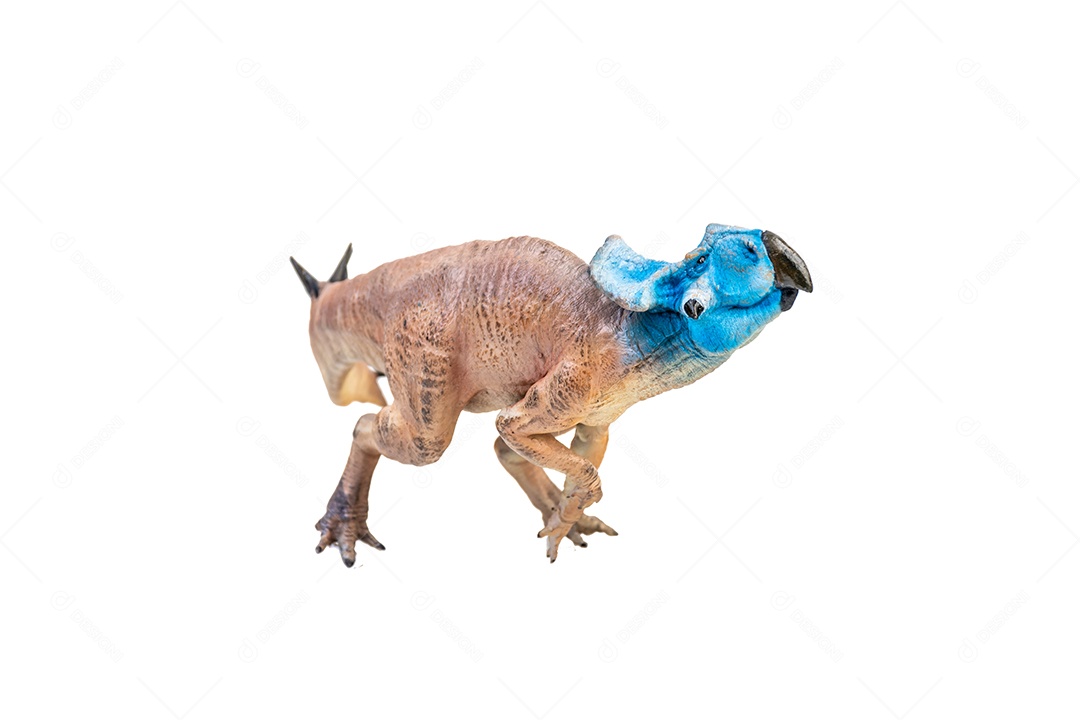 Protoceratops, dinossauro no fundo isolado