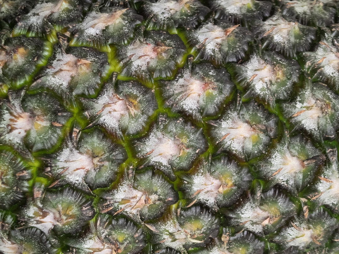 Textura de casca de fruta abacaxi.