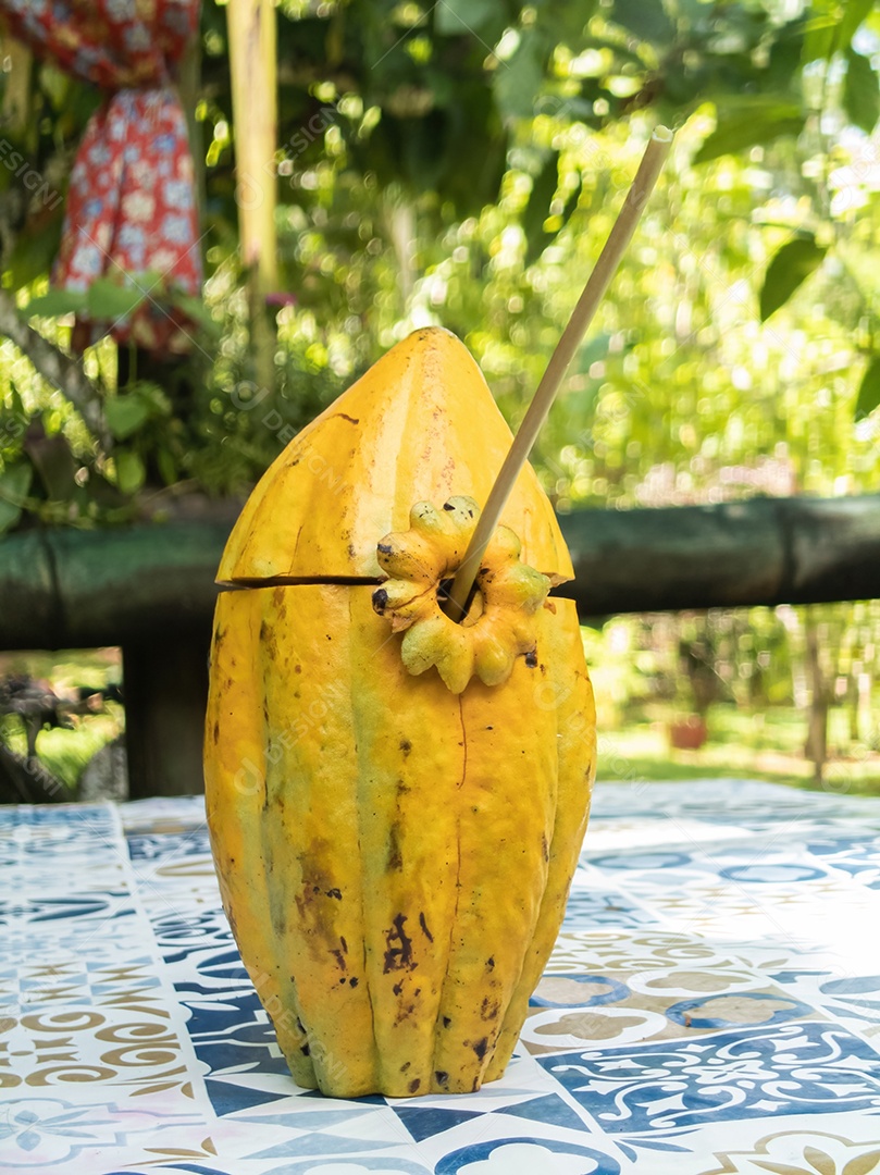 Fruto de cacau amarelo isolado. frutas tropicais brasileiras.