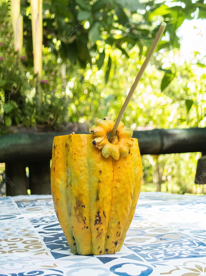 Fruto de cacau amarelo isolado. frutas tropicais brasileiras.