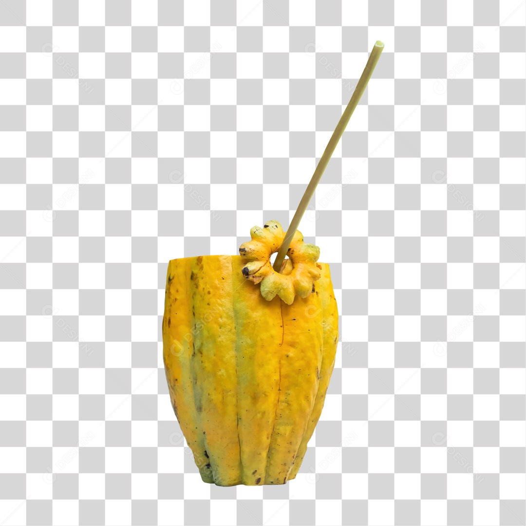 Elemento 3D Cacau Com Carnudo Para Composição PNG Transparente