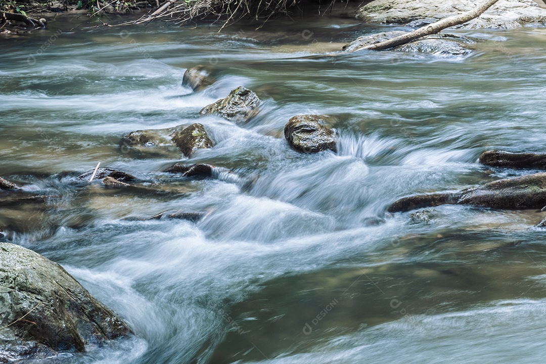 Paisagem de um pequeno riacho no parque nacional klong Lan da Tailândia