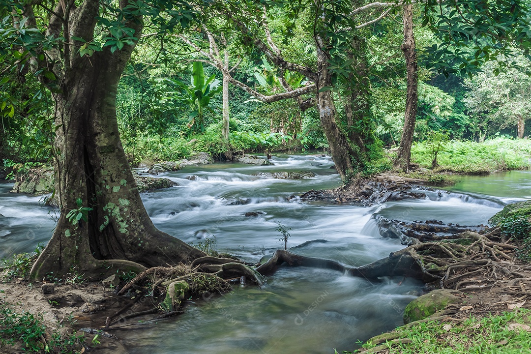 Paisagem de um pequeno riacho no parque nacional klong Lan da Tailândia