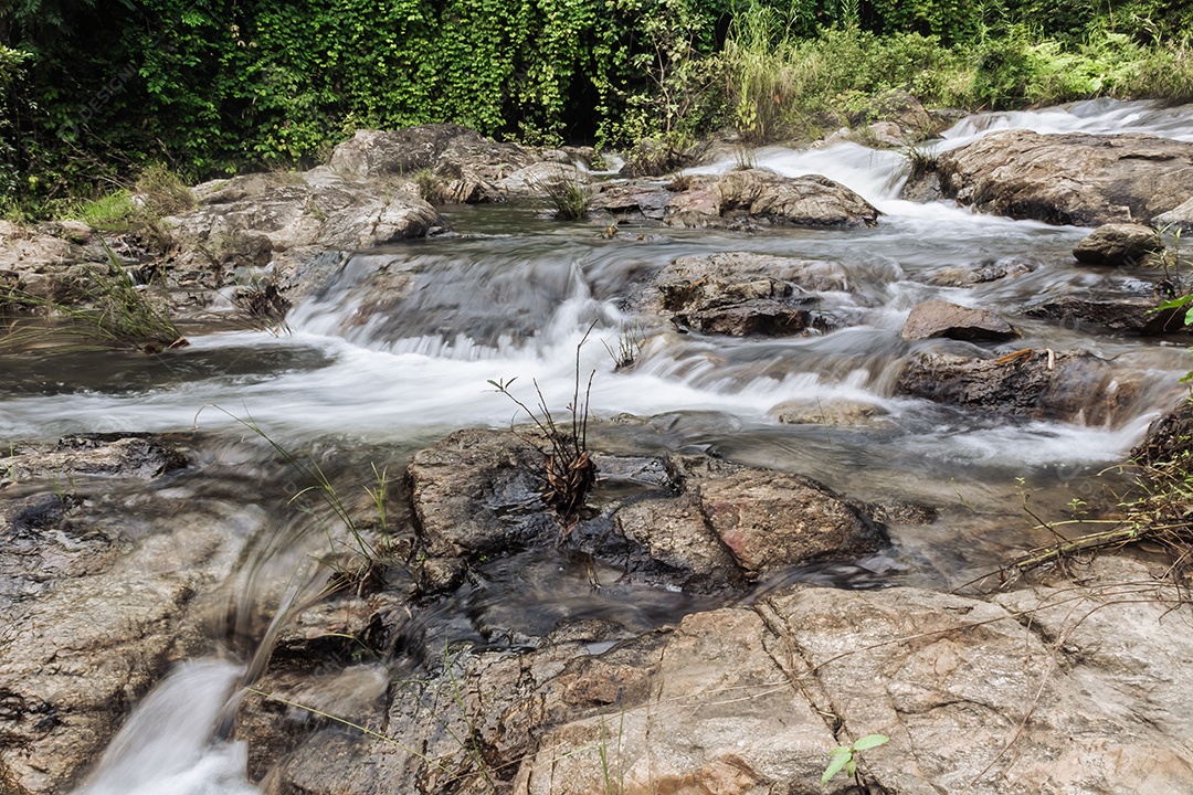 Paisagem de um pequeno riacho no parque nacional klong Lan da Tailândia