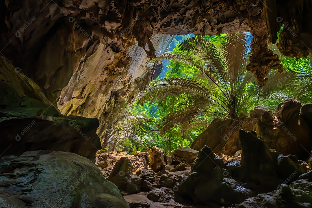 Paisagem da caverna e da árvore Hup Pa Tat, Uthai Thani, Tailândia