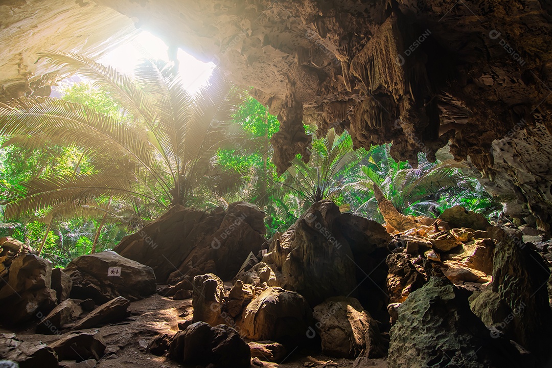 Paisagem da caverna e da árvore Hup Pa Tat, Uthai Thani, Tailândia