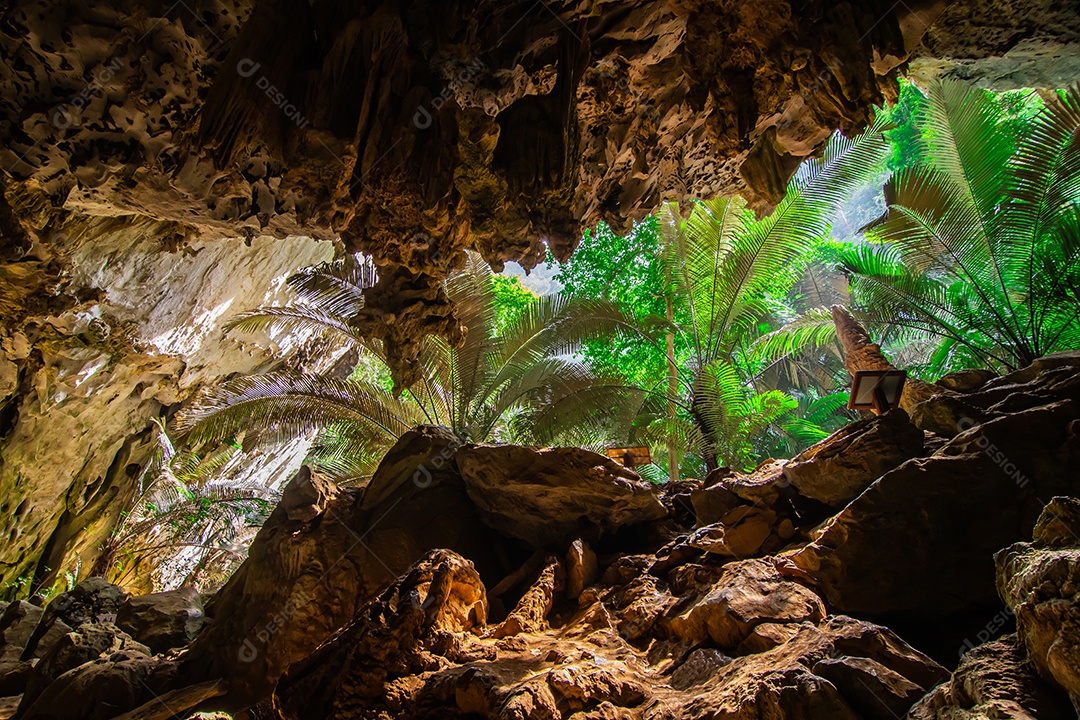 Paisagem da caverna e da árvore Hup Pa Tat, Uthai Thani, Tailândia