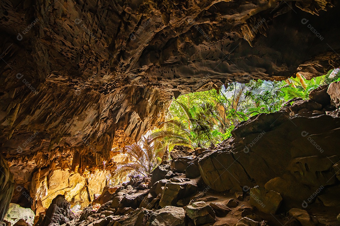 Paisagem da caverna e da árvore Hup Pa Tat, Uthai Thani, Tailândia