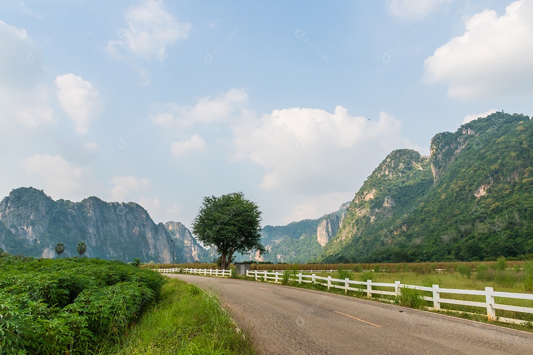 paisagem de montanha e uma árvore