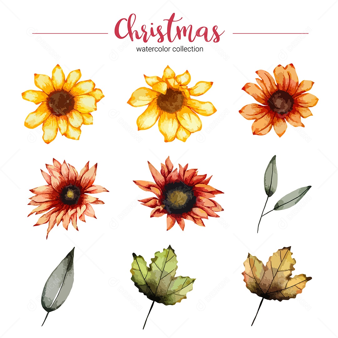 Conjunto de Flores de Natal EPS