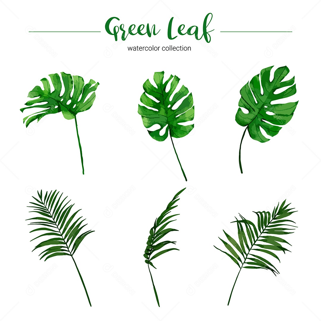 Conjunto de Folhas Verde EPS