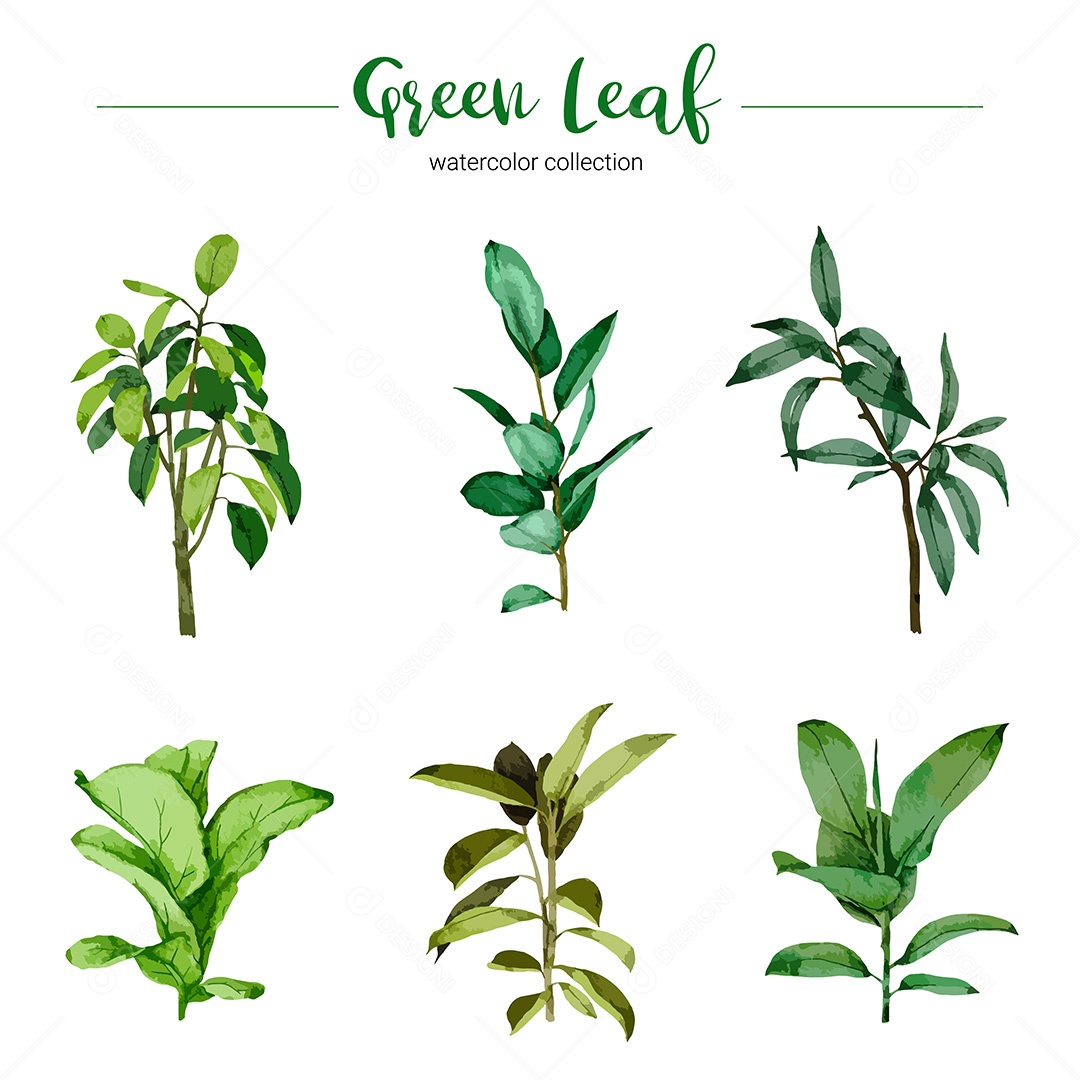 Conjunto de Folhas Verdes EPS