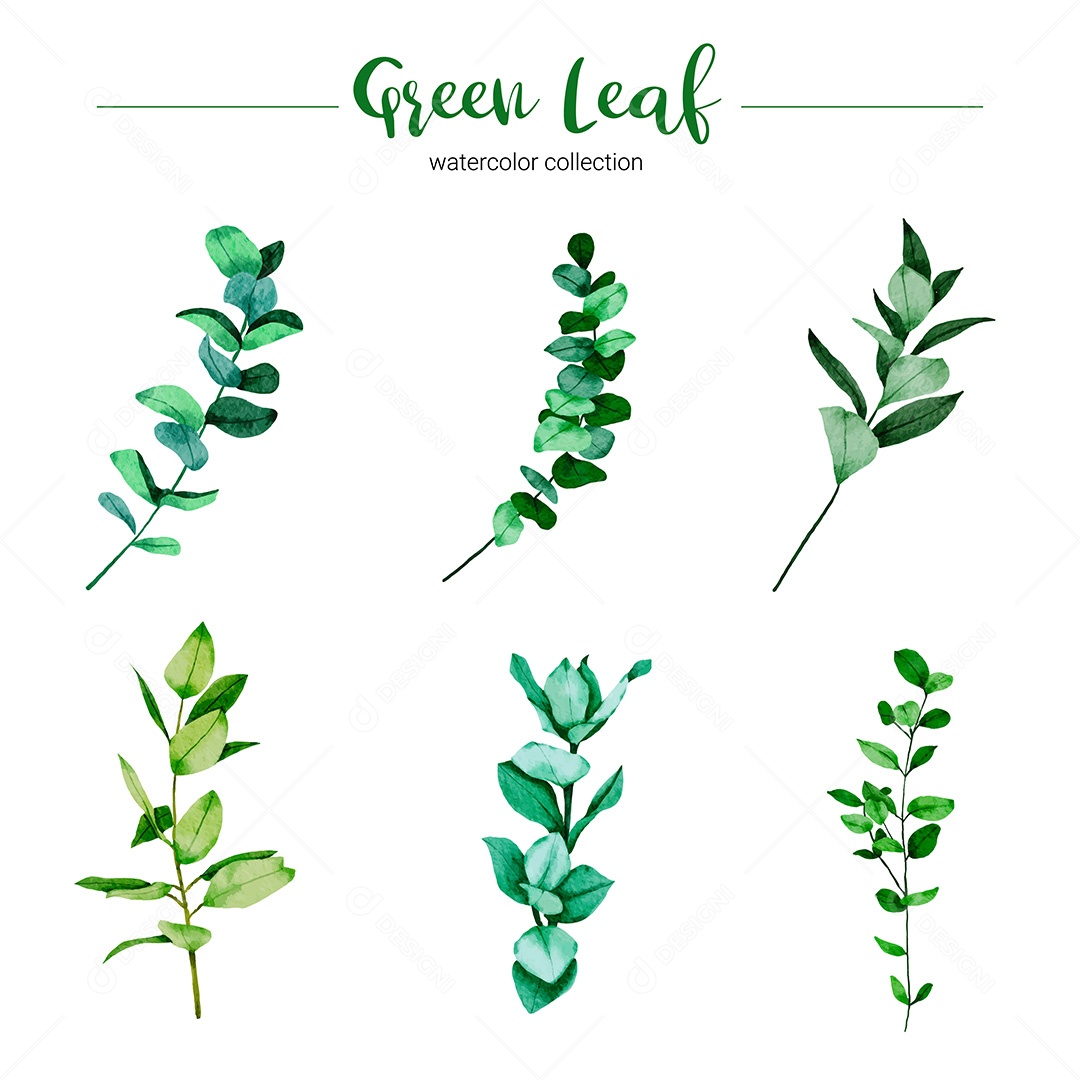 Conjunto de Folhas EPS