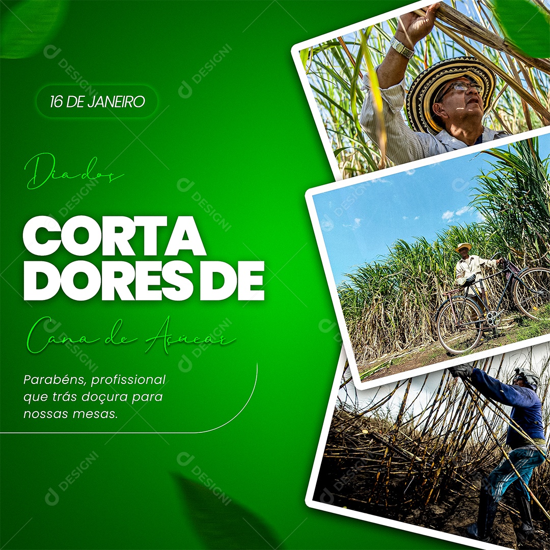 Post Dia do Cortador de Cana-de-açúcar Social Media PSD Editável