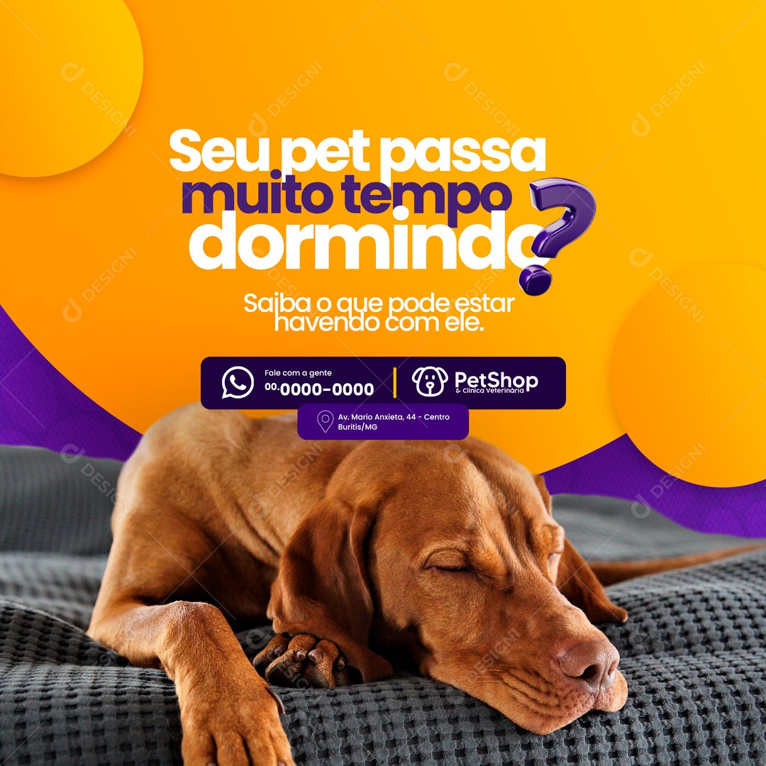 Seu Pet Passa Muito Tempo Dormindo? Pet Shop e Clínica Veterinária Social Media PSD Editável