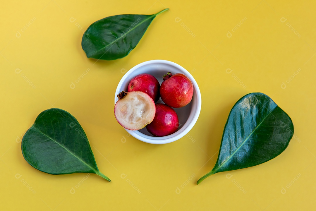 Folhas e Frutos Goiaba Cattley, frutos vermelhos Psidium Cattleyanum