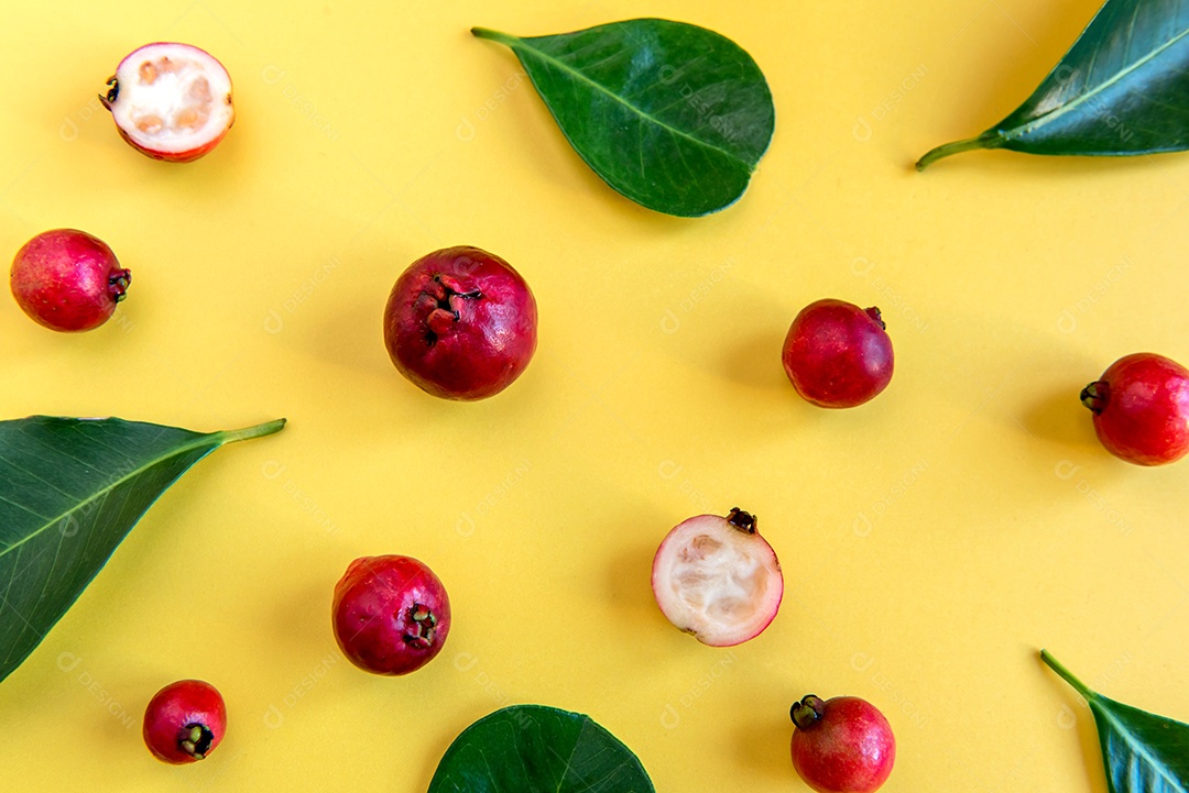 Folhas e Frutos Cattley goiabeira, frutos vermelhos Psidium bovinoyanum