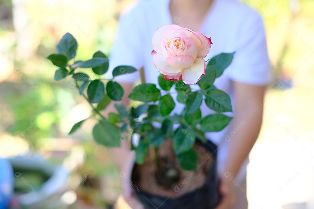 vaso de flor cor de rosa