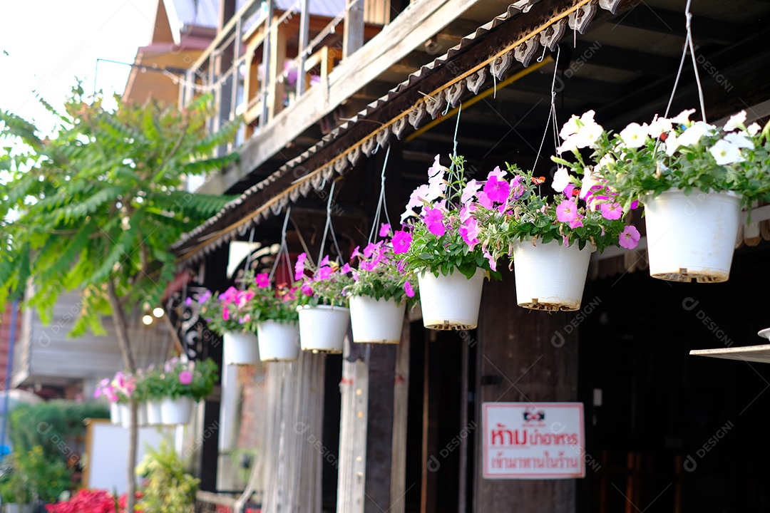 vasos de flores coloridas pendurados
