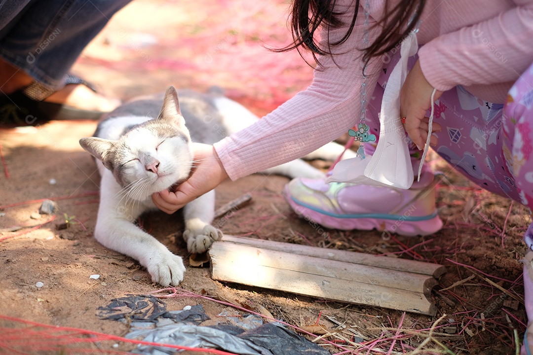 garota acariciando gatinho que esta deitado