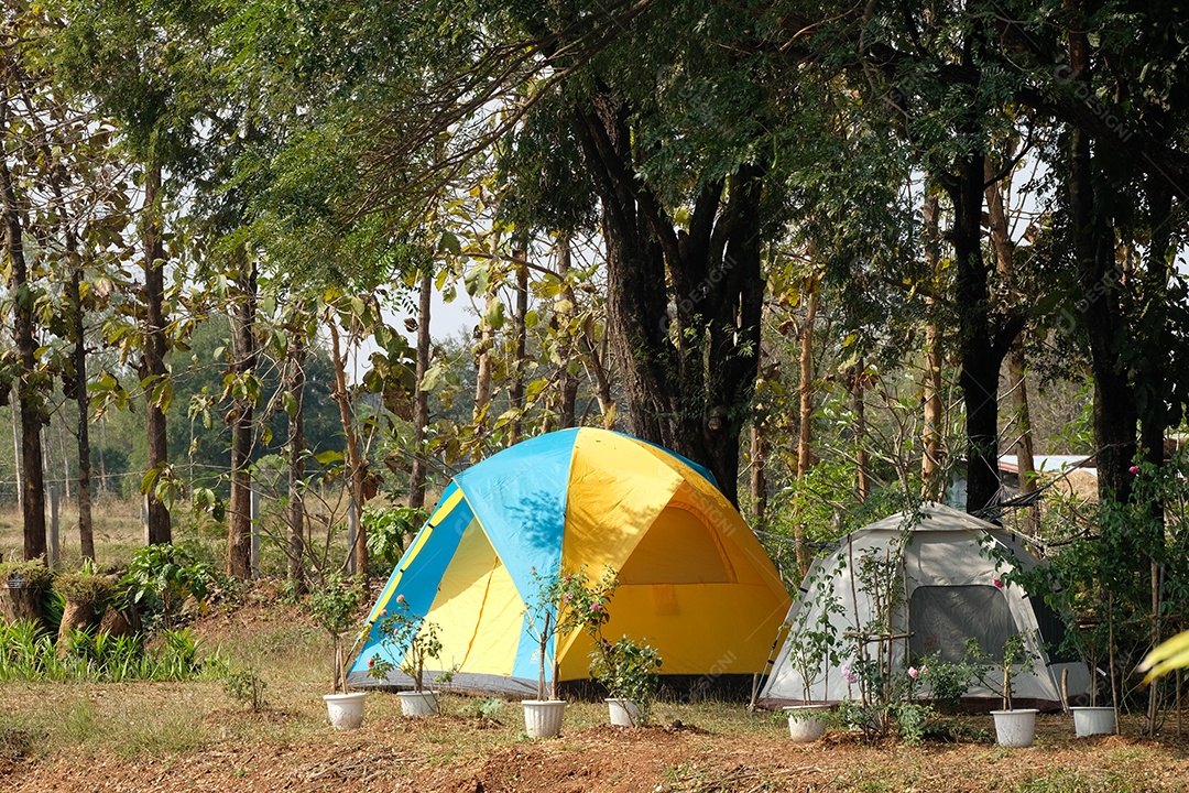 barracas de acampamento em meio a natureza