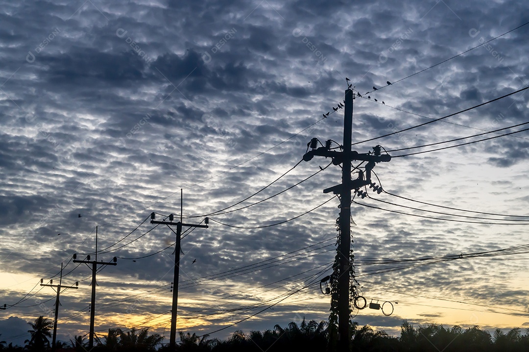 Foto de silhueta de enquete elétrica com linha ou fio e muitos pássaros pequenos no topo