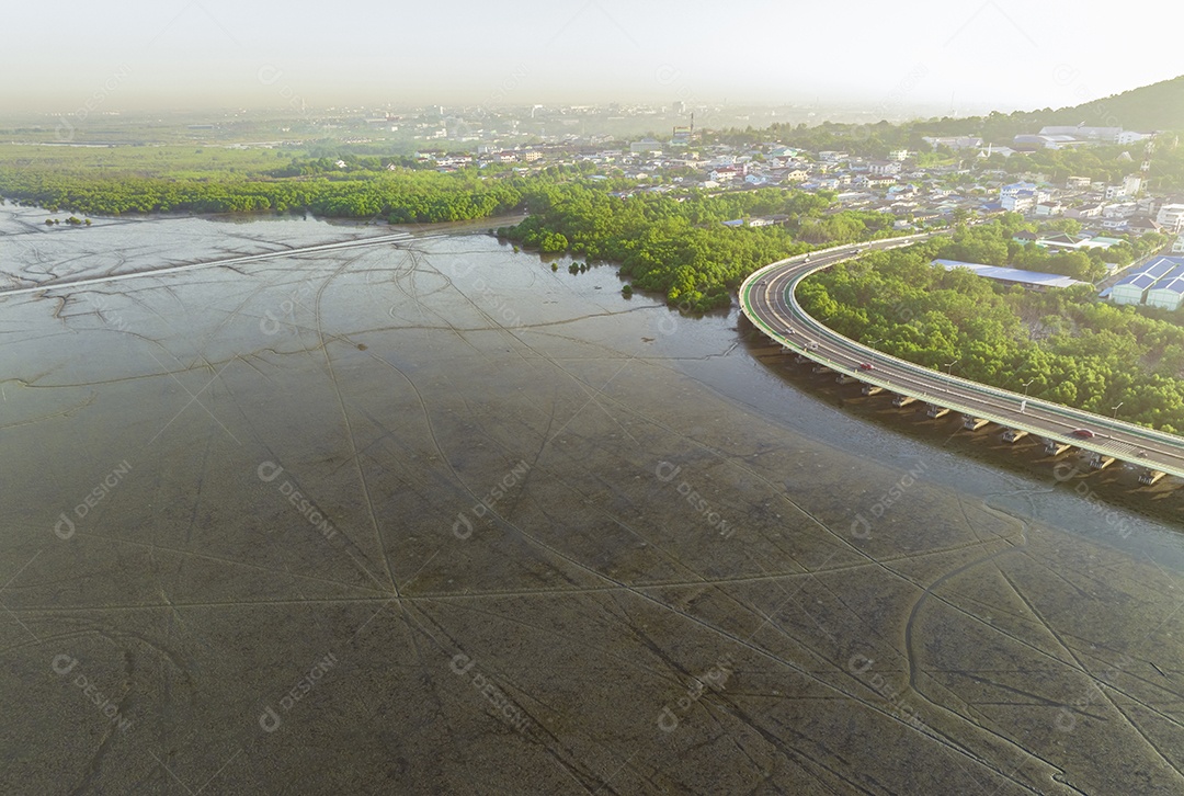 Vista aérea do lodaçal, da floresta de mangue e da cidade sustentável