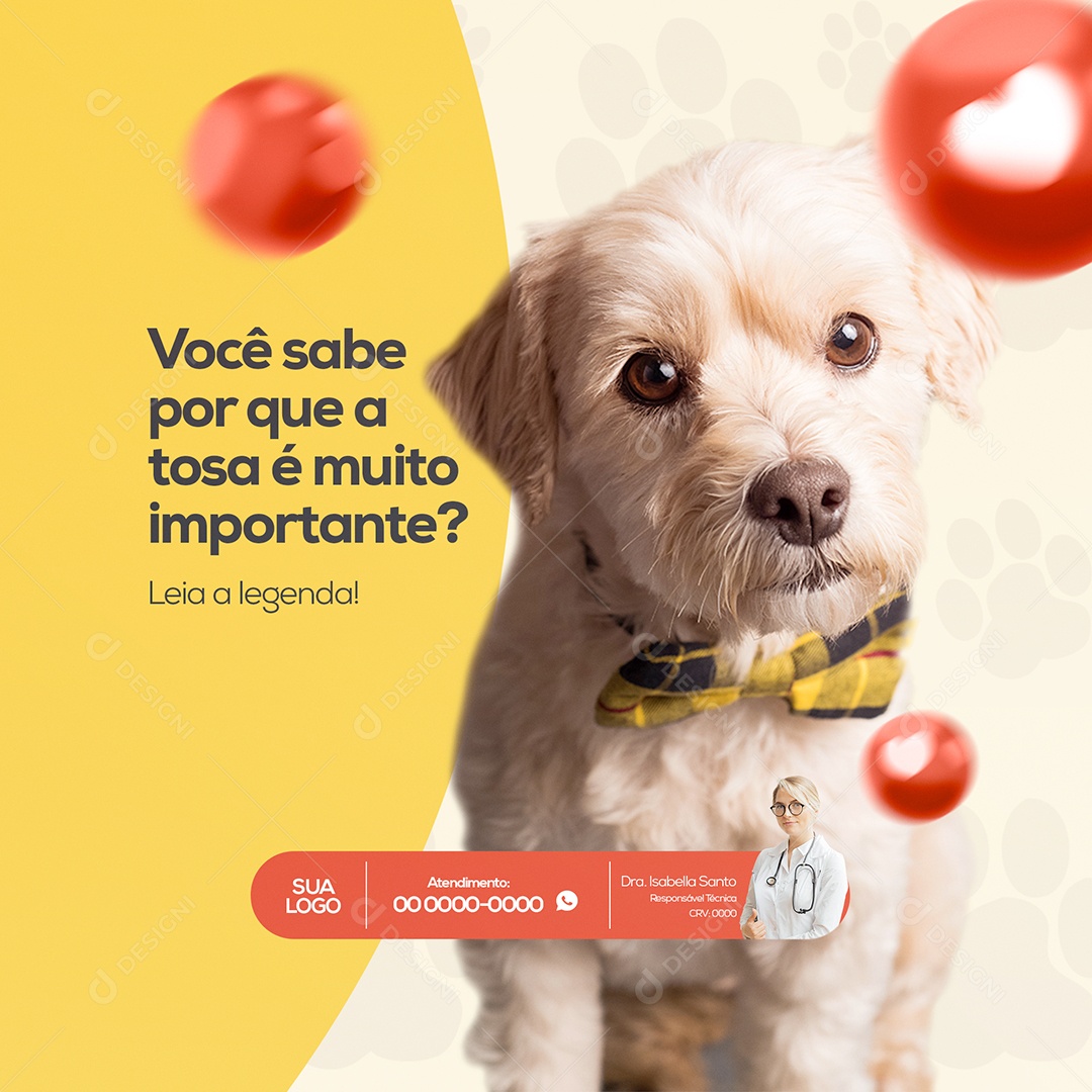 Tosa Pet Shop Social Media PSD Editável