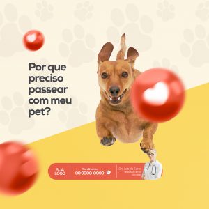 Pack Coleção de 