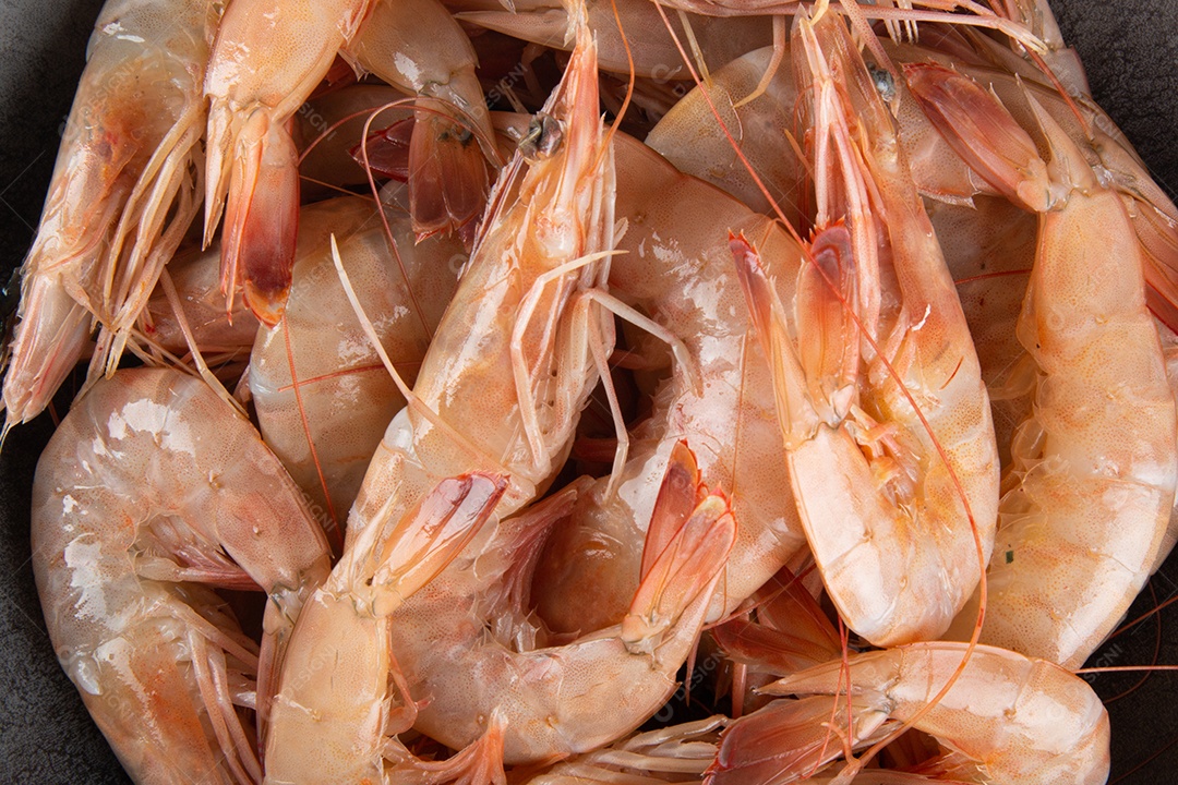 Camarão fresco na vista superior da tigela