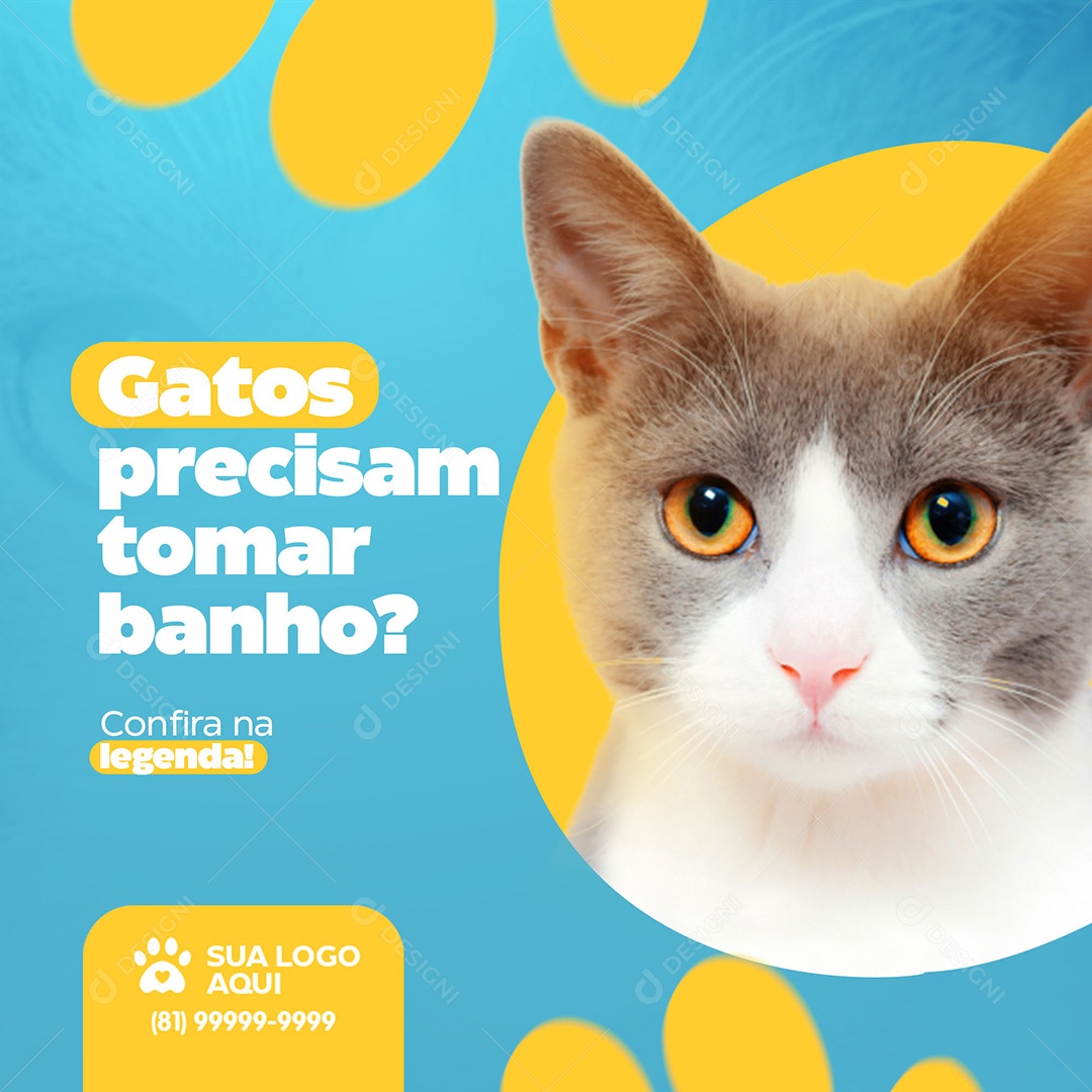 Post Petshop Gatos Precisam Tomar Banho Social Media PSD Editável