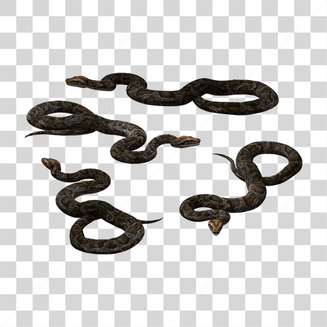 Cobra PNG Transparente