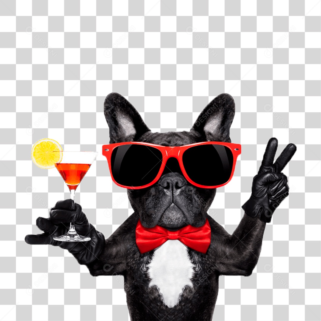 Cachorro PNG Transparente