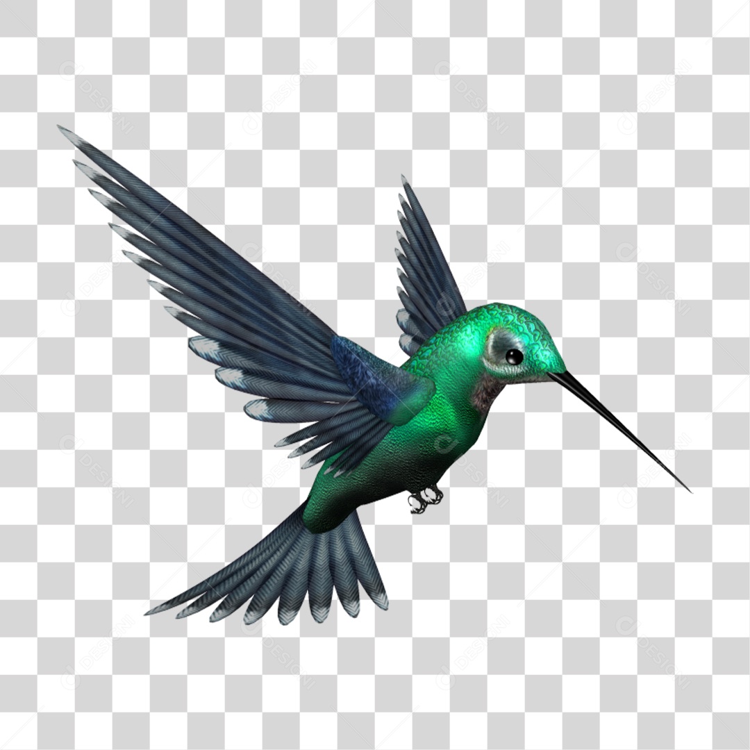 Beija Flor PNG Transparente