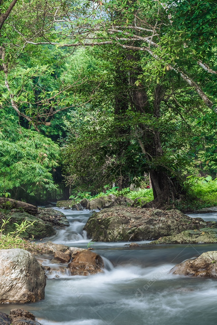 Paisagem de um pequeno riacho no parque nacional klong Lan da Tailândia