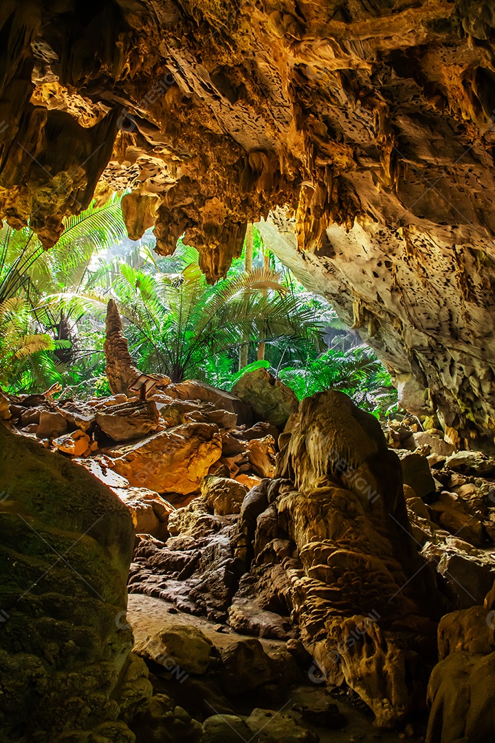 Paisagem da caverna e da árvore Hup Pa Tat, Uthai Thani, Tailândia