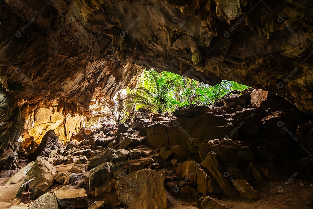 Paisagem da caverna e da árvore Hup Pa Tat, Uthai Thani, Tailândia