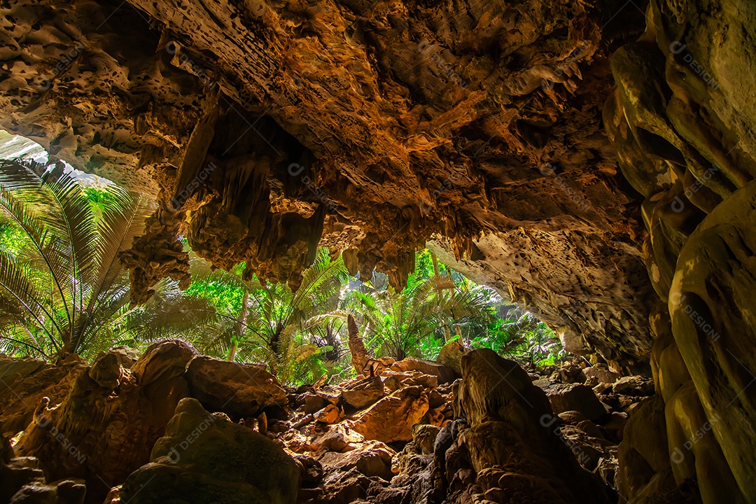 Paisagem da caverna e da árvore