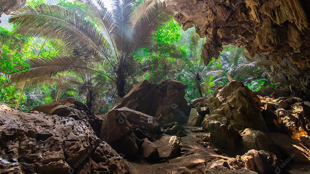 Paisagem da caverna e da árvore