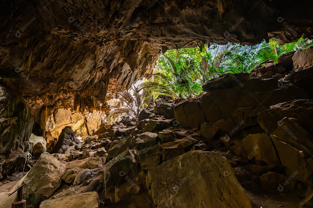 Paisagem da caverna e da árvore