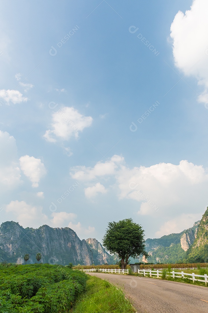 Paisagem de montanha e uma árvore