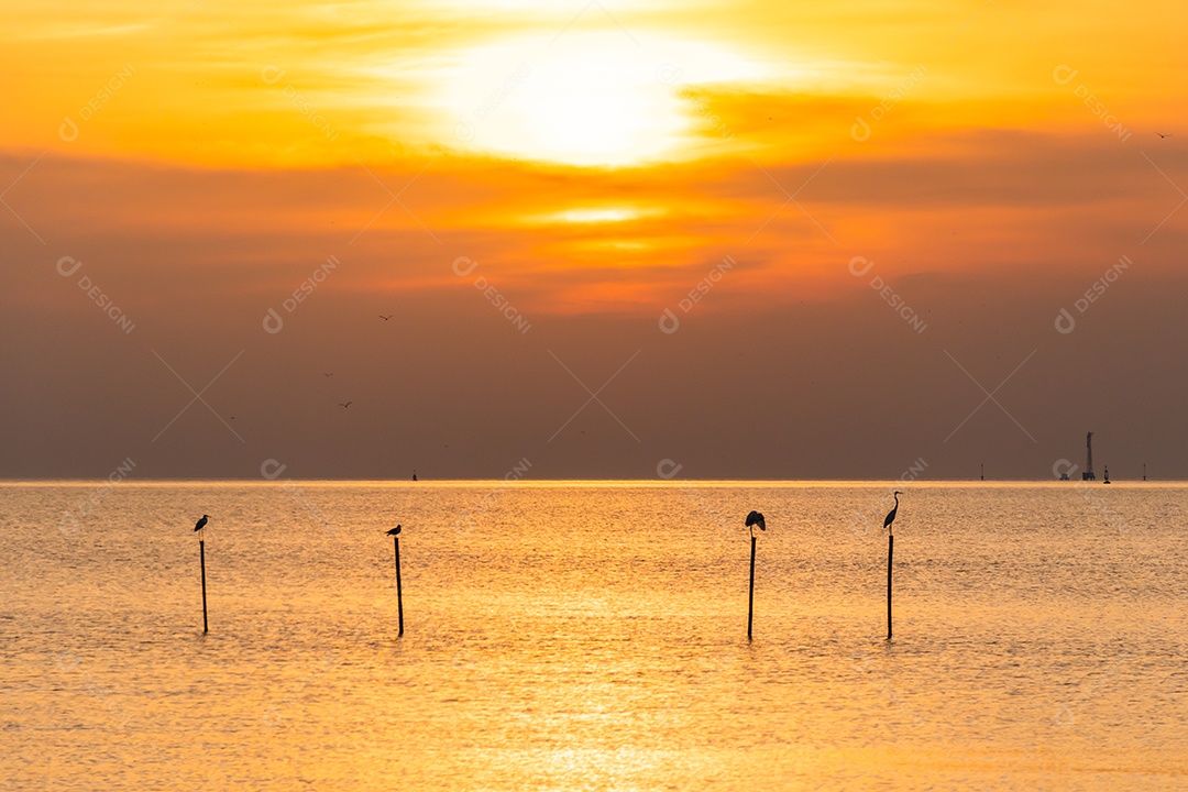 Paisagem da costa do mar durante o crepúsculo. Pôr do sol da noite.