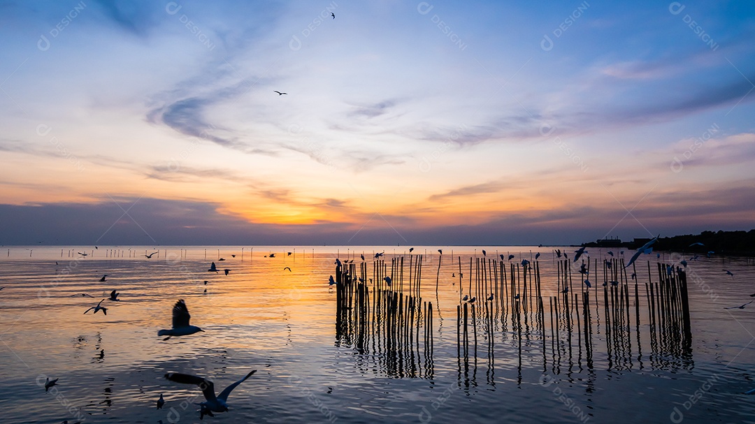 Paisagem da costa do mar durante o crepúsculo. Pôr do sol da noite.