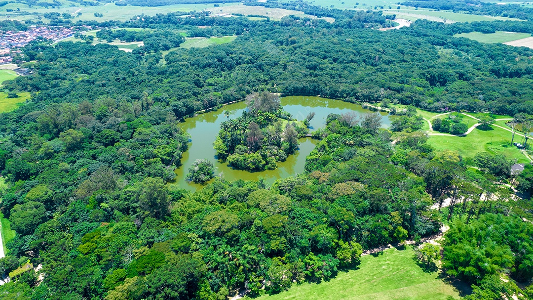 Vista aérea do parque Burle Marx - Parque da Cidade, em São José dos Campos, Brasil. Palmeiras altas e bonitas.