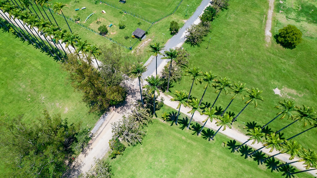 Vista aérea do parque Burle Marx - Parque da Cidade, em São José dos Campos, Brasil. Palmeiras altas e bonitas.