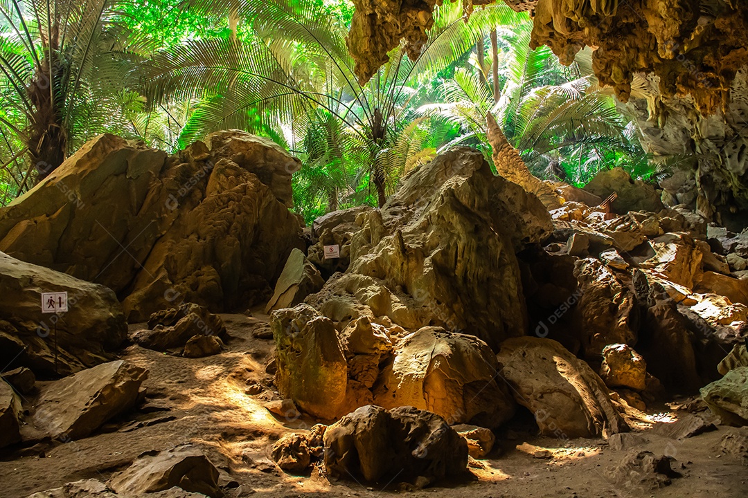 Paisagem da caverna e da árvore