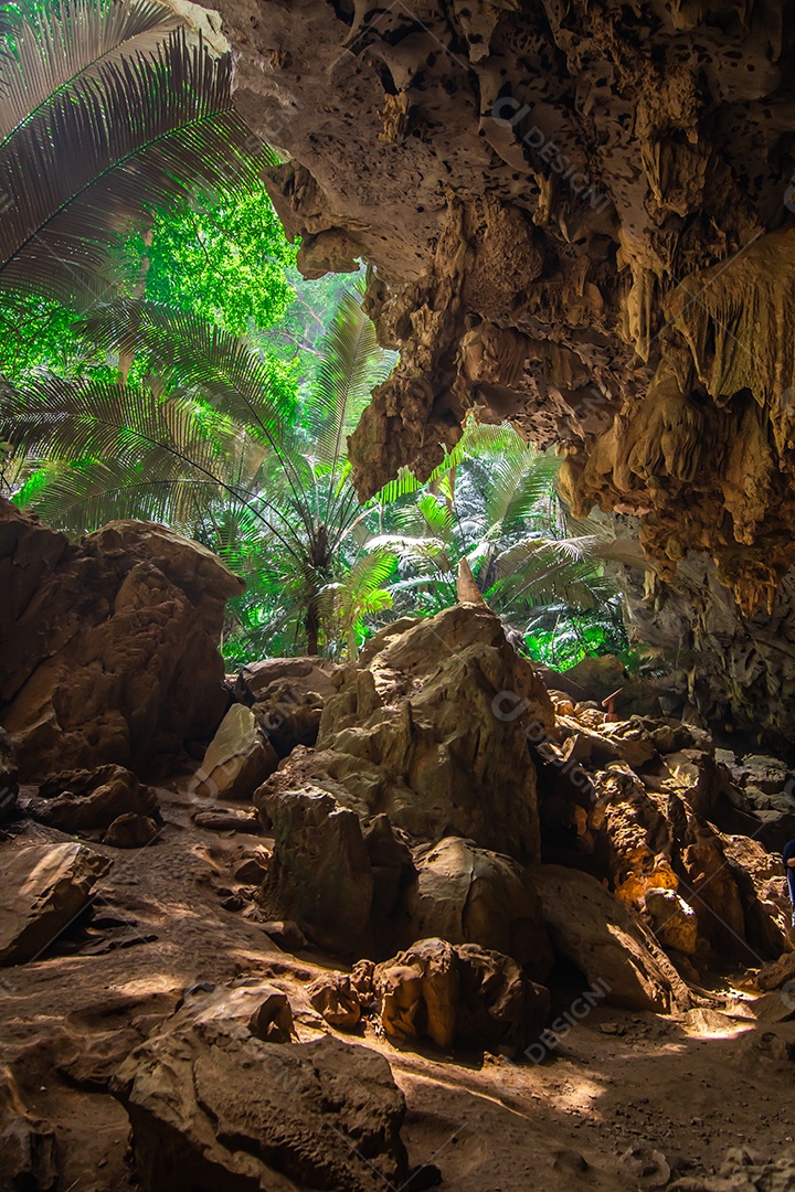 Paisagem da caverna e da árvore