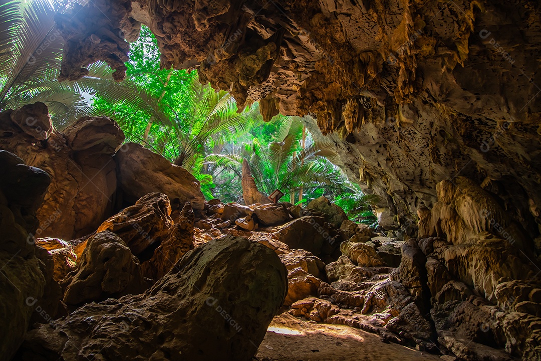 Paisagem da caverna e da árvore