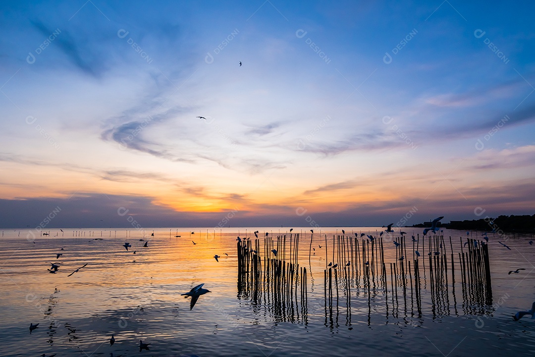 Paisagem da costa do mar durante o crepúsculo. Pôr do sol da noite.